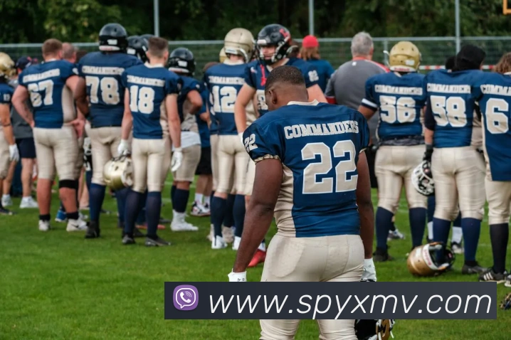 星空手机在线登陆入口发展历程